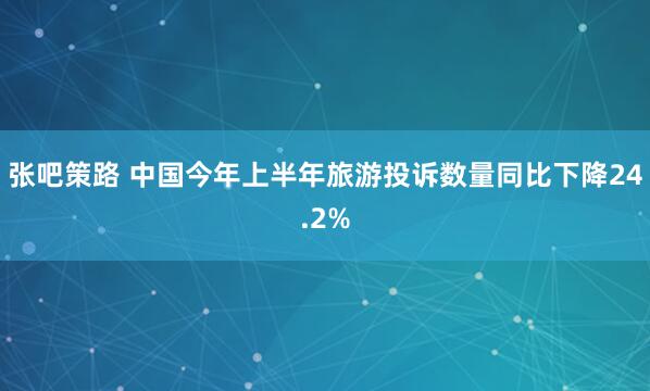 张吧策路 中国今年上半年旅游投诉数量同比下降24.2%