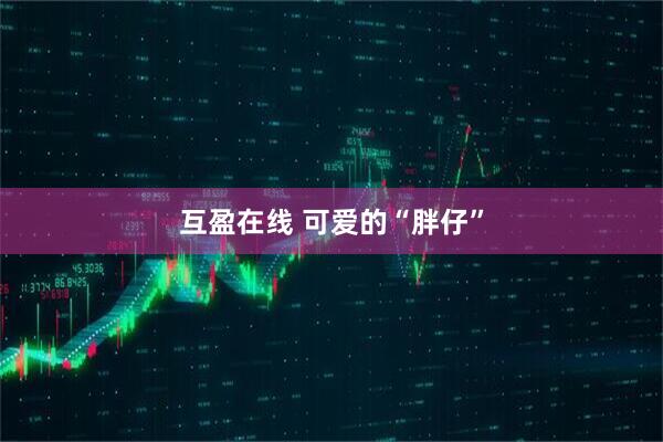 互盈在线 可爱的“胖仔”